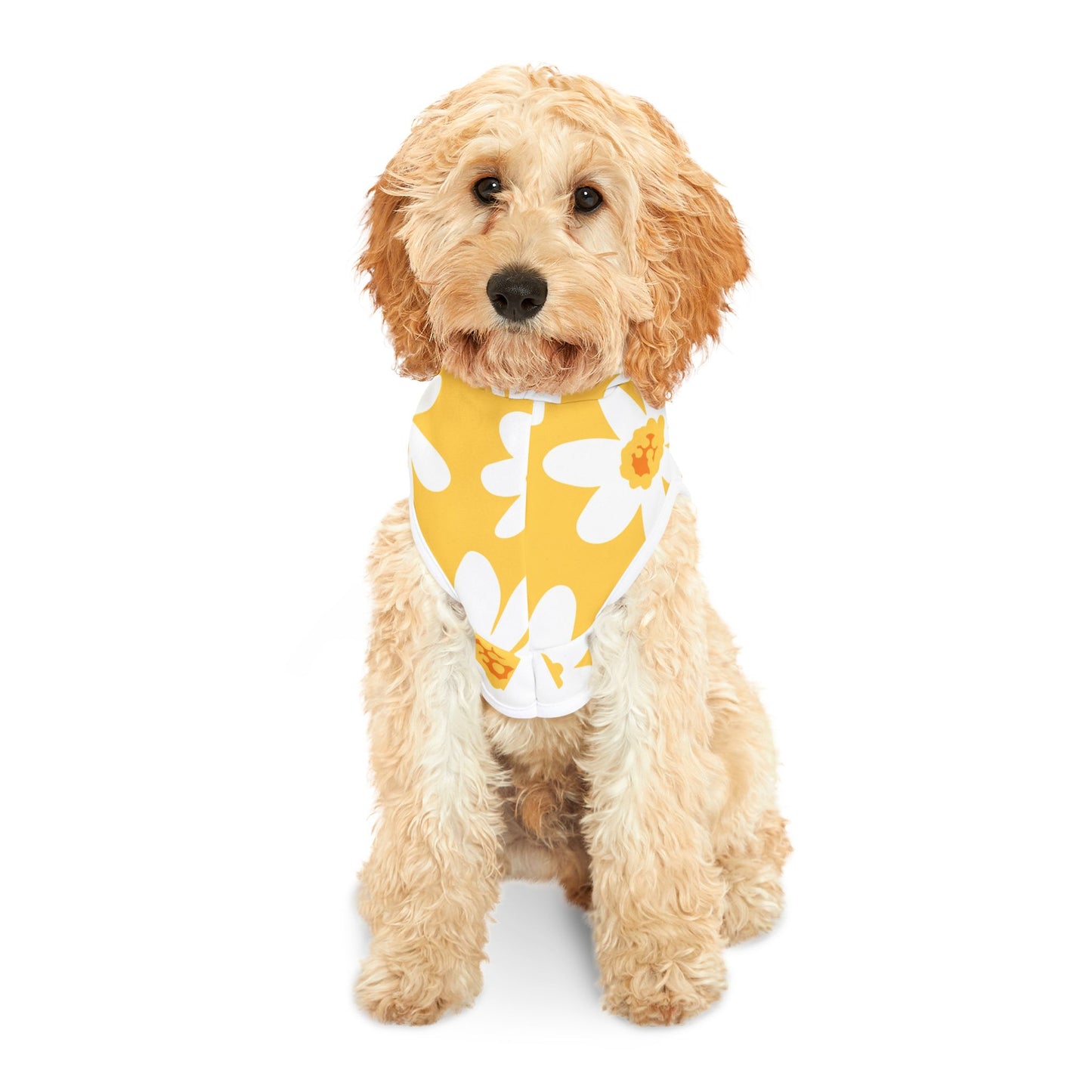 Daisy Pet Hoodie - Retro Colorful Print for Fur Babies and Their Human Twinsies