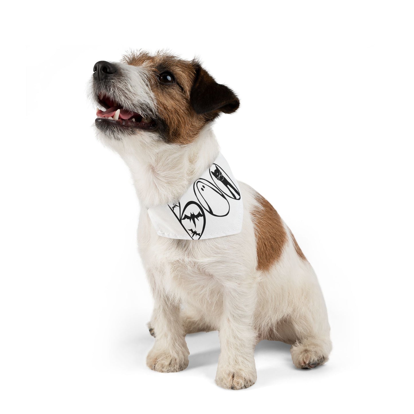 Adorable "Boo"  Pet Bandana Collar, Halloween Season dog attire, gift for dog lover's