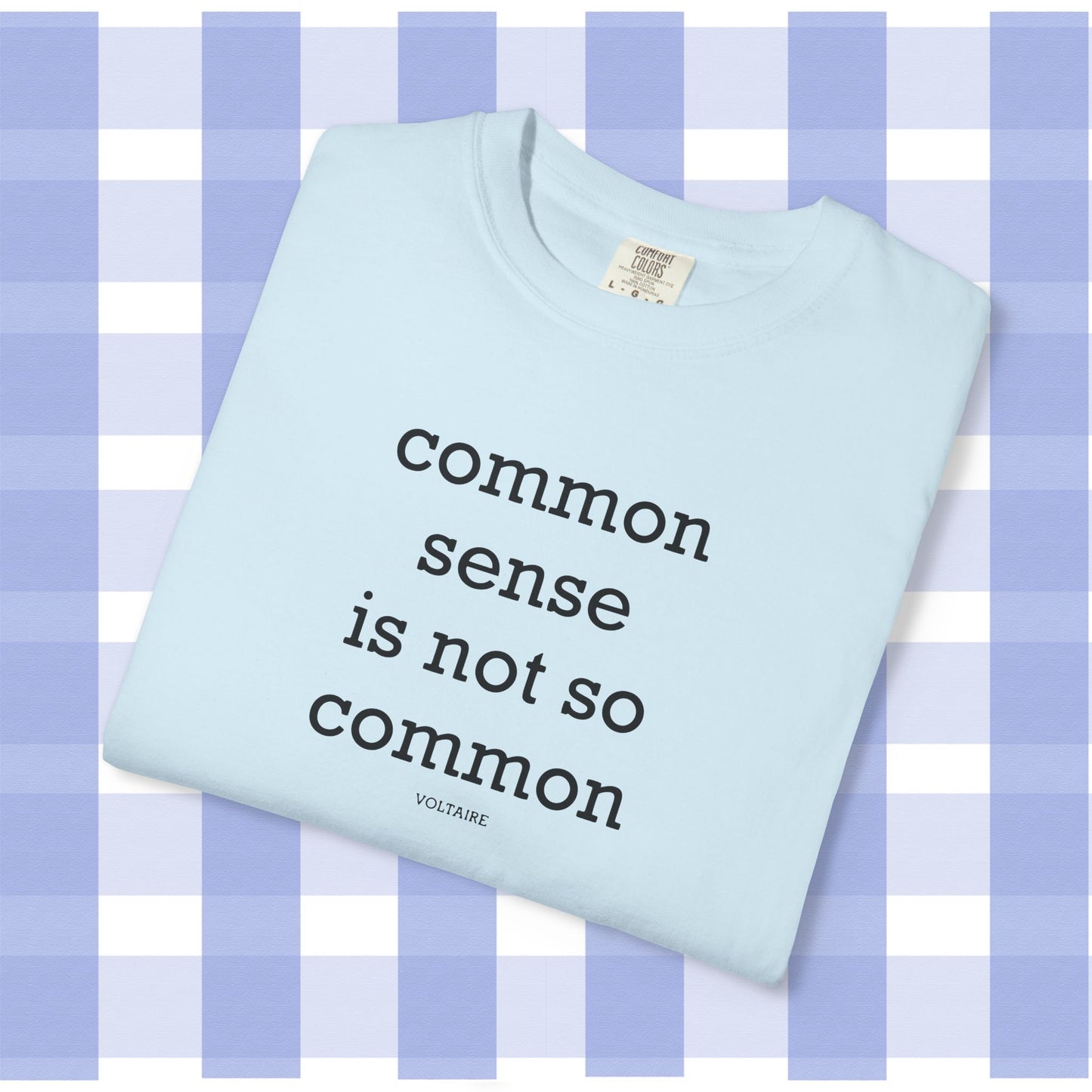 Common Sense Is Not So Common, Volraire Quote, Unisex T-Shirt