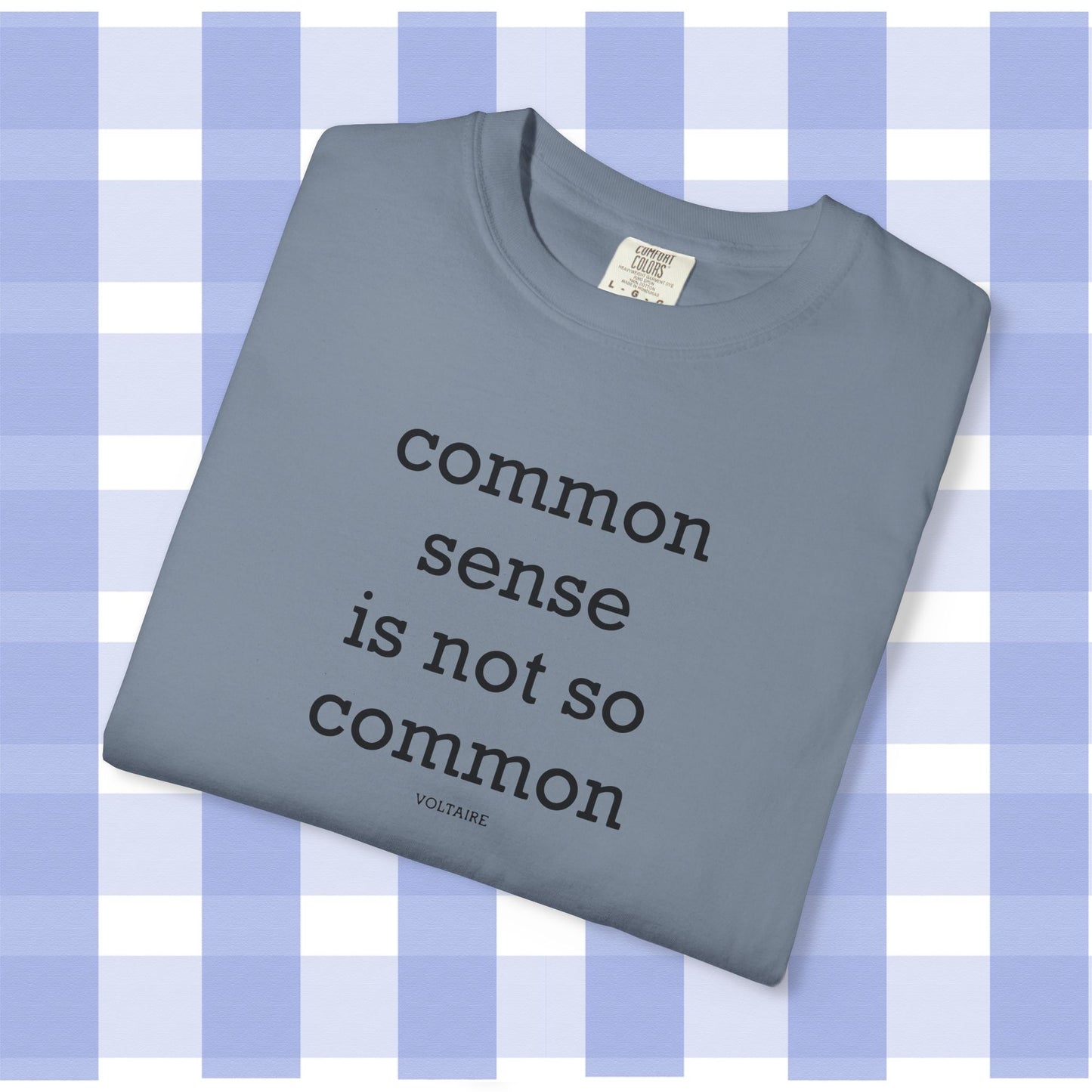 Common Sense Is Not So Common, Volraire Quote, Unisex T-Shirt