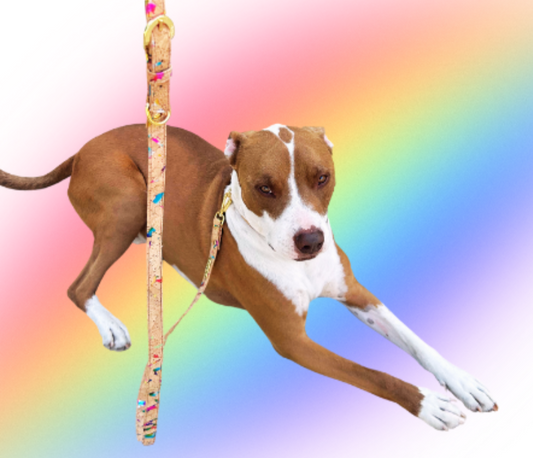 Rainbow Pride Cork Leather Leash