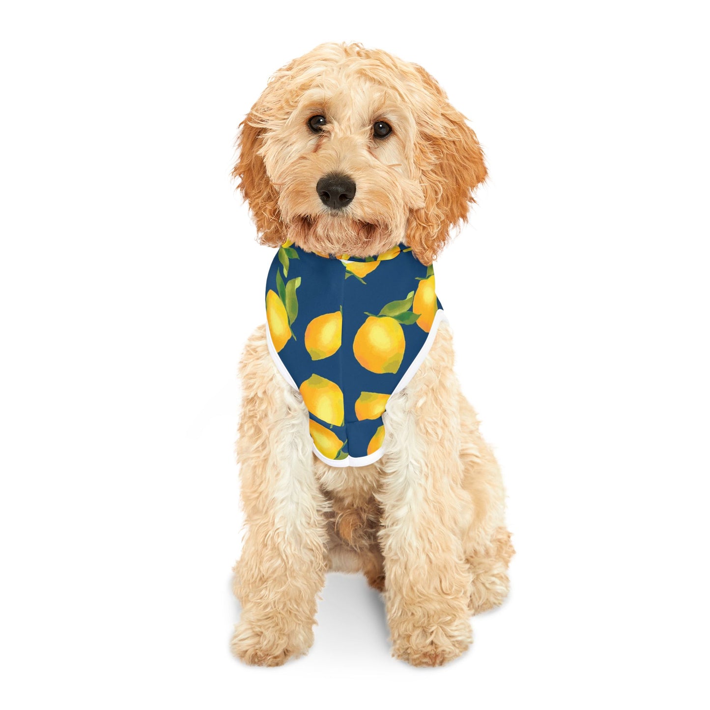 Lemon Print Pet Hoodie – Cozy Dog Apparel, Stylish Pet Clothing, Cute Puppy Pullover, Pet Gift for Dog Lovers, Summer Dog Fashion