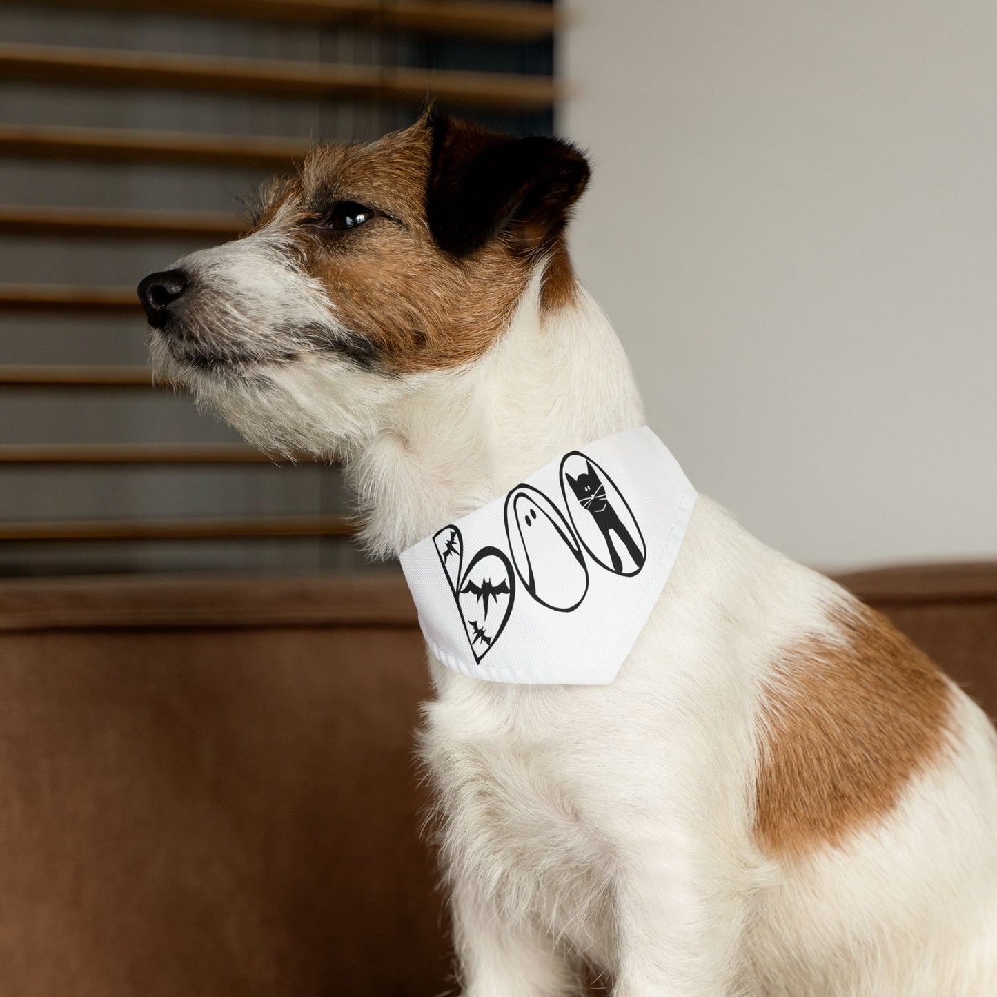 Adorable "Boo"  Pet Bandana Collar, Halloween Season dog attire, gift for dog lover's