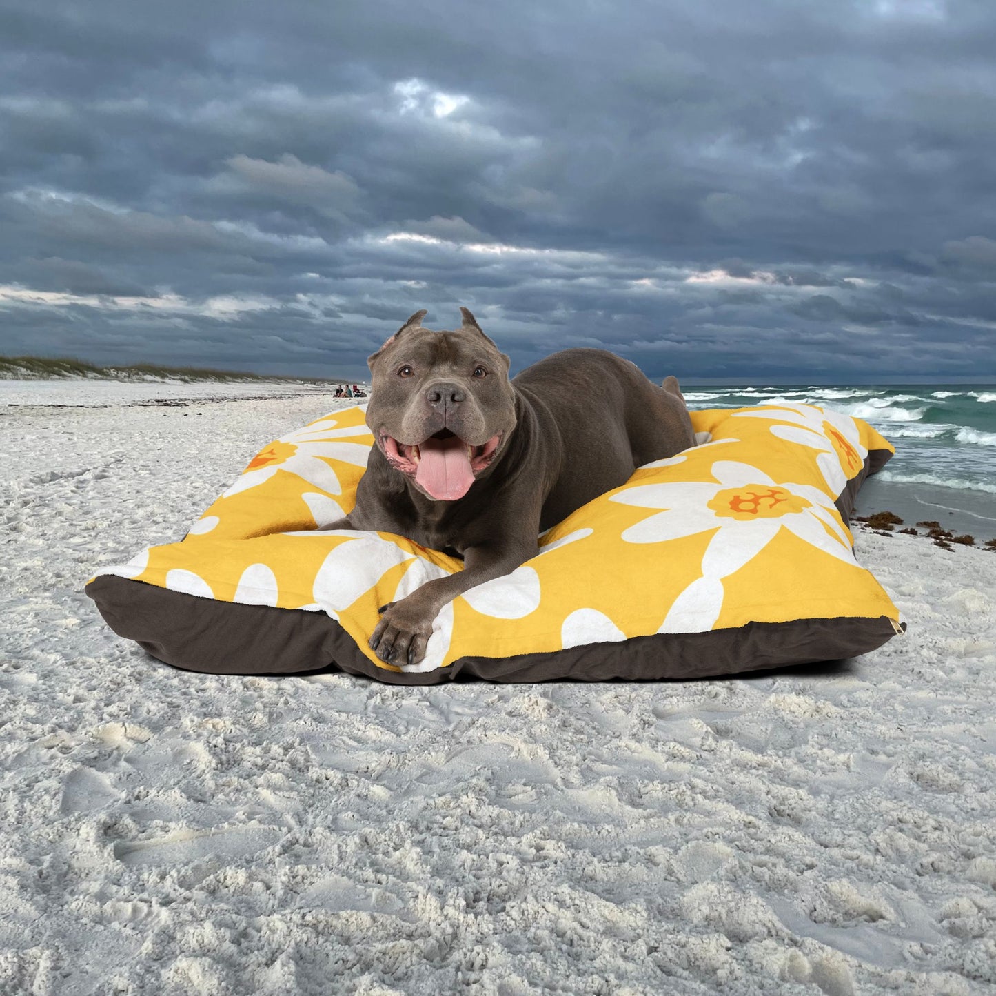 Sunny Floral Pet Bed, Cozy Dog Bed, Cat Bed for Home, Flower Pattern Pet Mat, Cute Puppy Bedding, Spring-Themed Dog Cushion