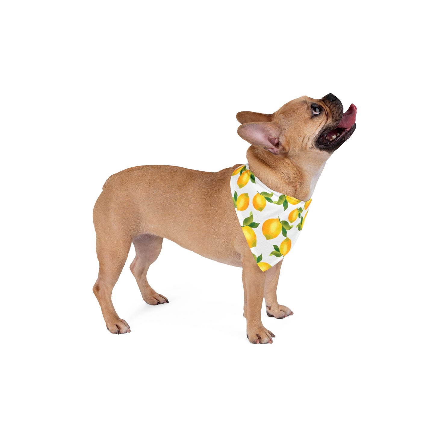 Lemon Print Pet Bandana, Summer Dog Accessory, Cute Pet Apparel, Gift for Dog Lovers, Floral Dog Scarves, Pet Birthday Party