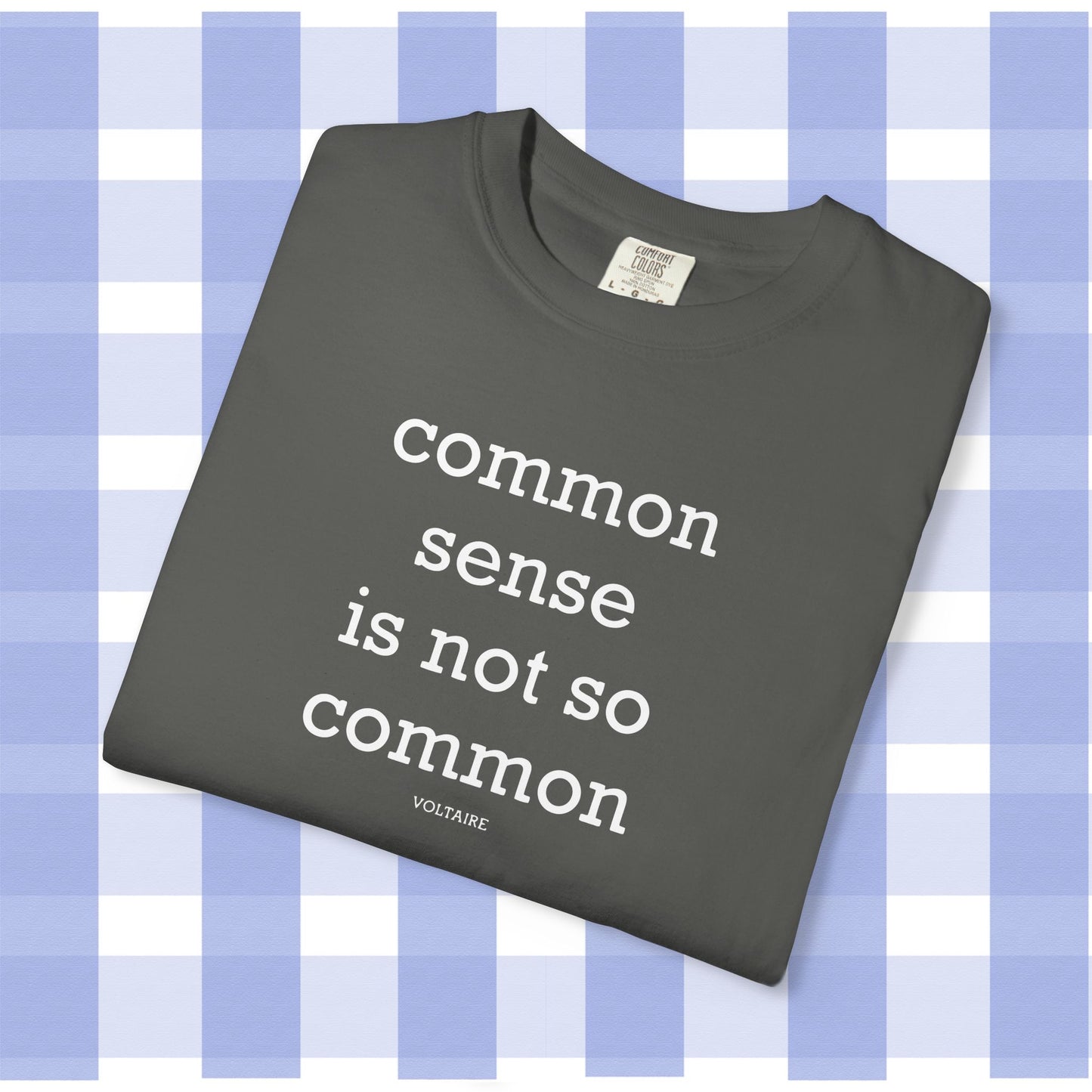 Common Sense Is Not So Common, Volraire Quote, Unisex T-Shirt