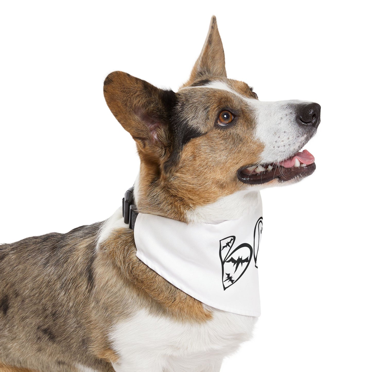 Adorable "Boo"  Pet Bandana Collar, Halloween Season dog attire, gift for dog lover's