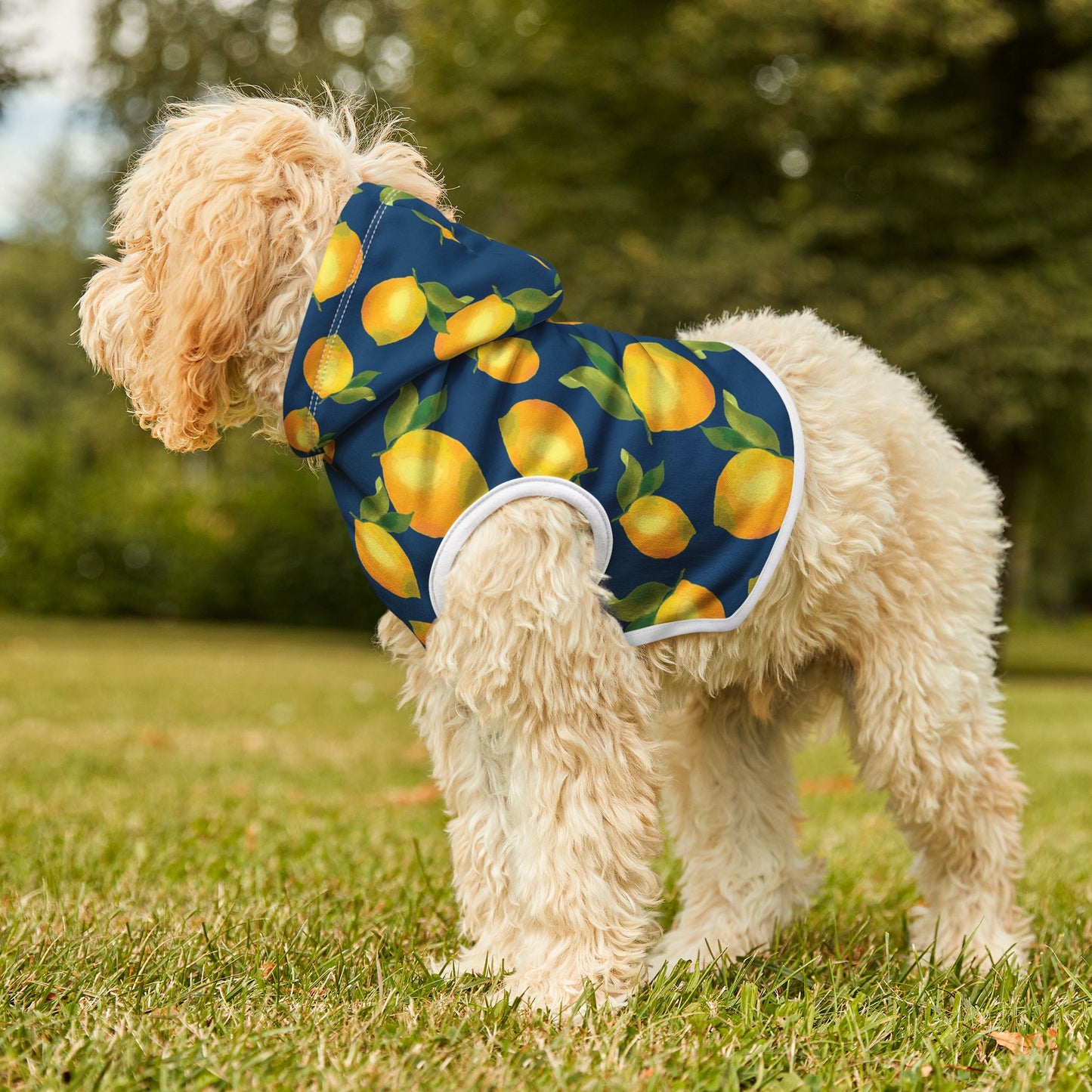 Lemon Print Pet Hoodie – Cozy Dog Apparel, Stylish Pet Clothing, Cute Puppy Pullover, Pet Gift for Dog Lovers, Summer Dog Fashion