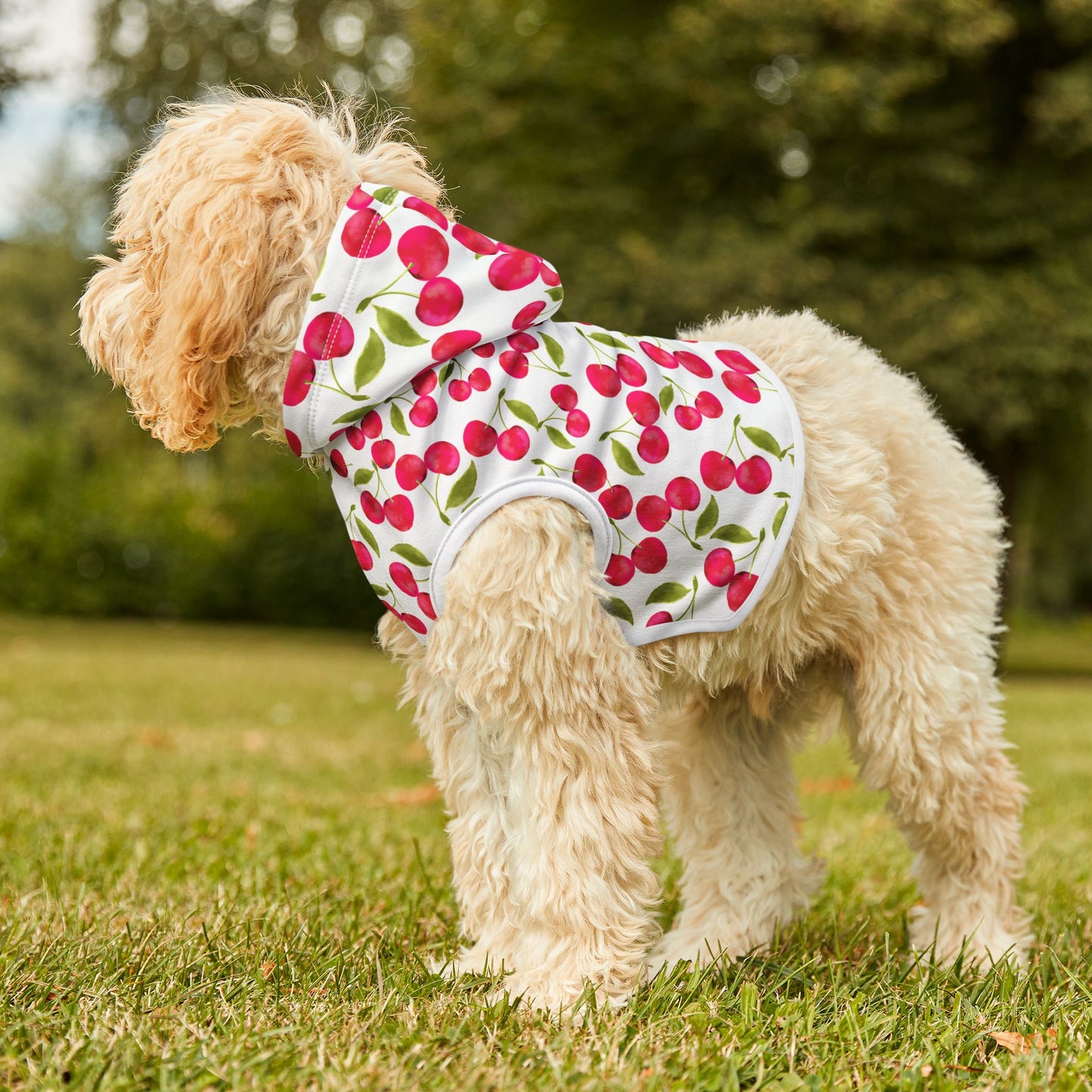 Charming Cherry Pet Hoodie, Cute Dog Sweater, Adorable Pet Outfit, Stylish Pet Wear, Cozy Hoodie for Small Pets
