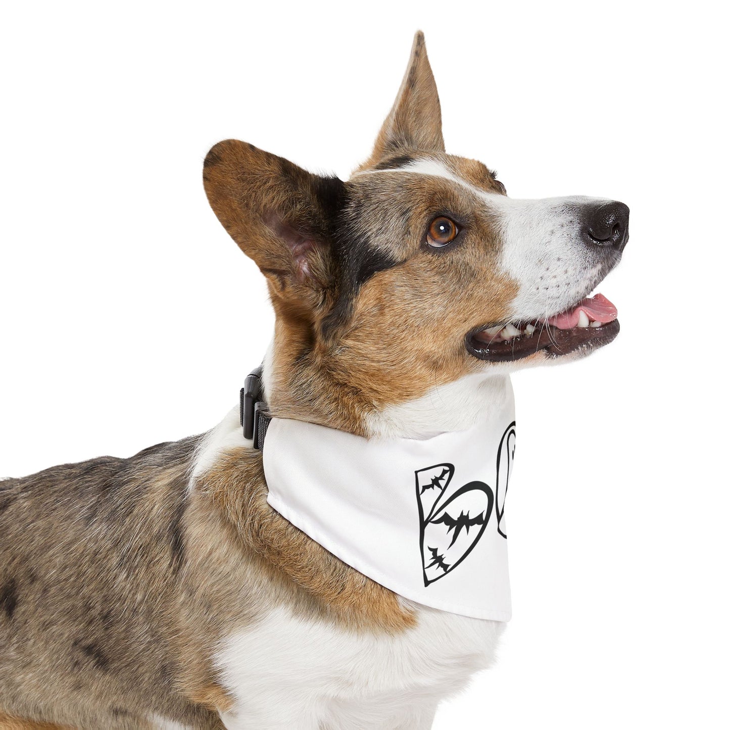 Adorable "Boo"  Pet Bandana Collar, Halloween Season dog attire, gift for dog lover's