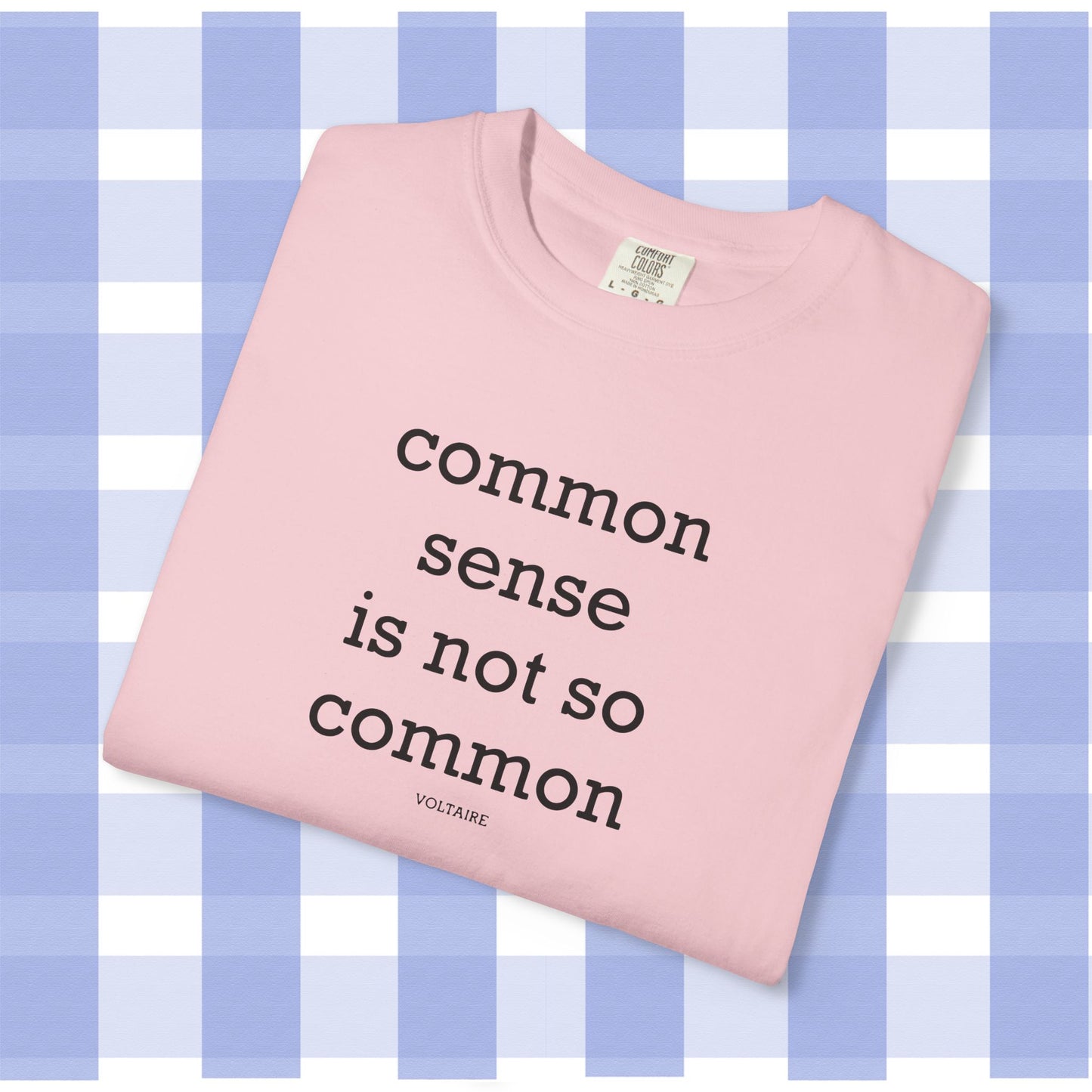 Common Sense Is Not So Common, Volraire Quote, Unisex T-Shirt