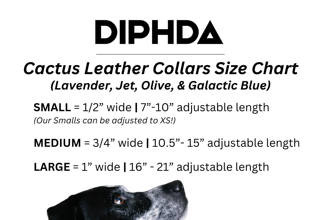 Galactic Blue Cactus Collar