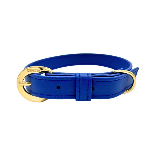 Galactic Blue Cactus Collar