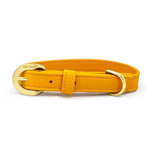 Sunflower Cactus Collar